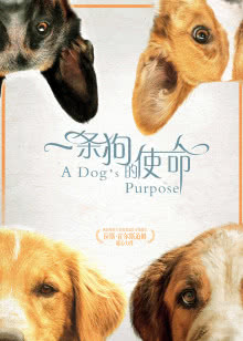 秀水河子歼灭战