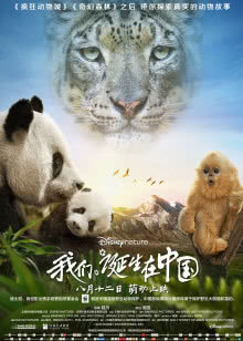 盲少爷的小女仆